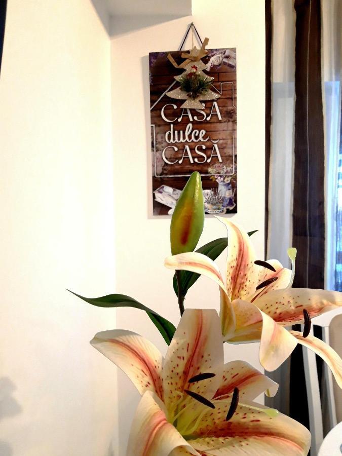Apartment Fleur De Lys Brasov
